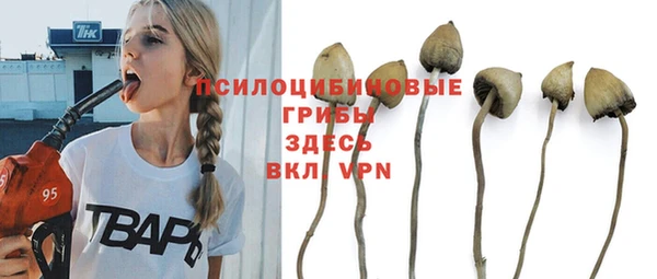 прущая мука Корсаков