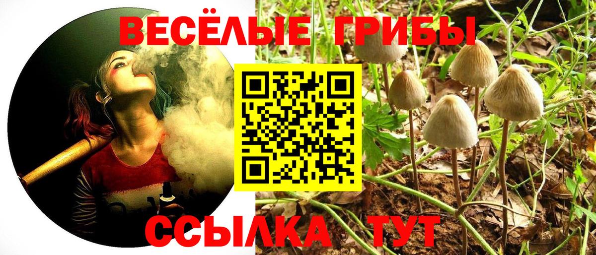 Псилоцибиновые грибы ЛСД  Вход с VPN  Мыски  Галлюциногенные грибы Psilocybine cubensis 