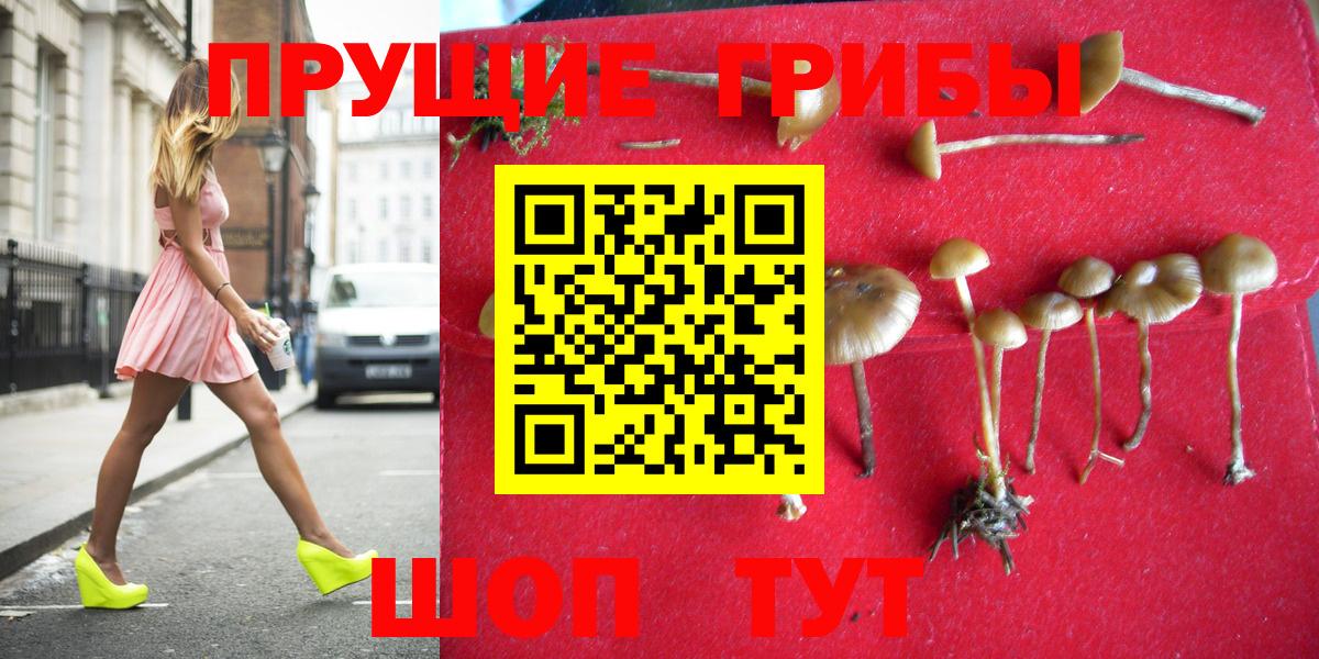 Псилоцибиновые грибы ЛСД Мыски